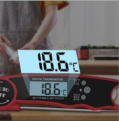 Digitales Lebensmittelthermometer, Sofortablesbar, Fleisch & Grill