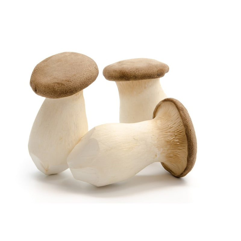 Kräuterseitling | Deutschland | KlasseⅠ