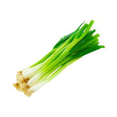 Lauch | Deutschland | KlasseⅠ