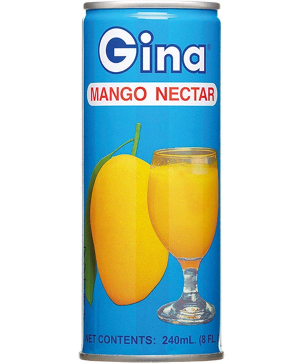 MHD:03.04.2025 GINA Mangonektar 250 ml